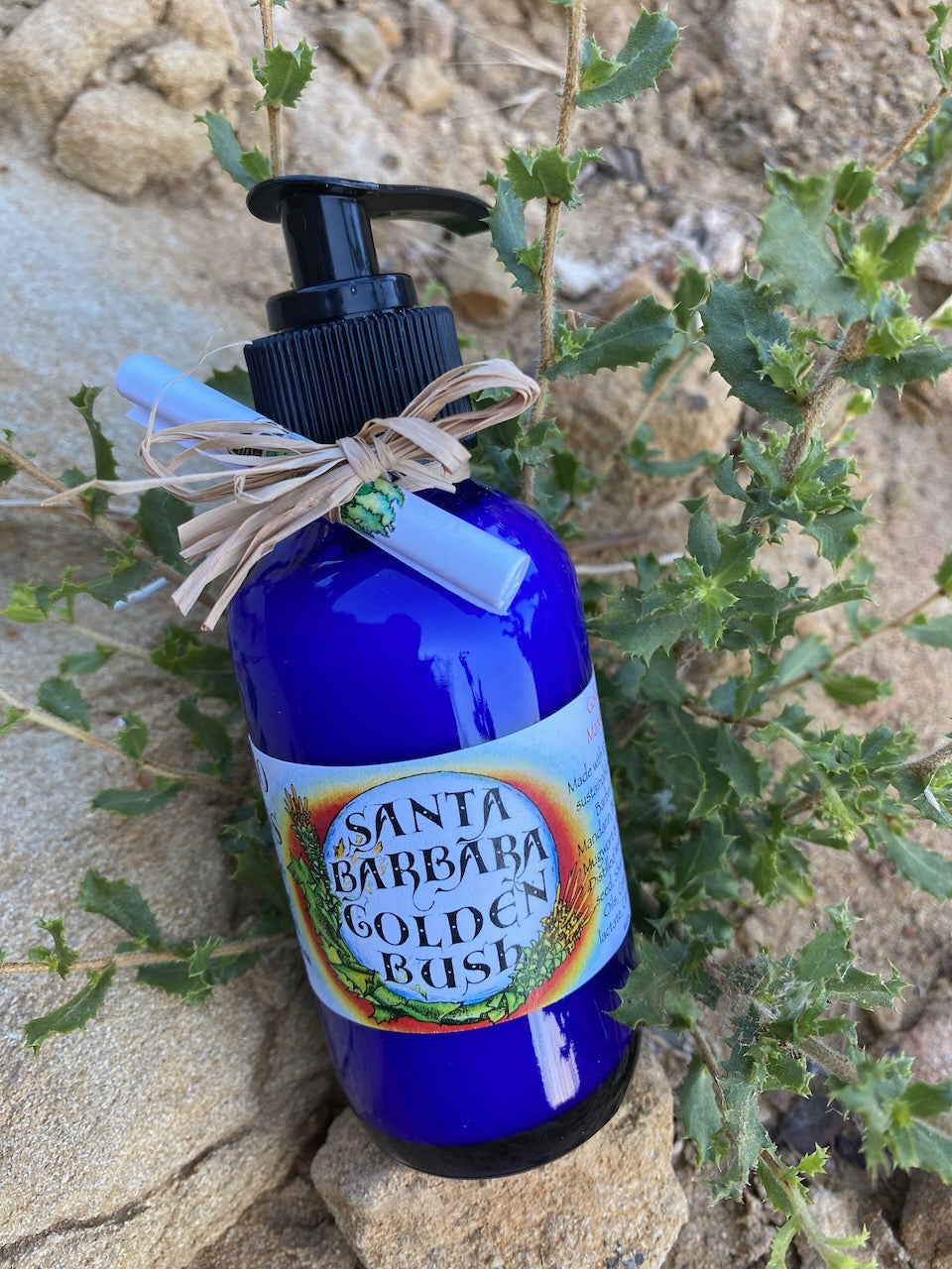 Photograph of 4 oz cobalt blue bottle of Santa Barbara Golden Bush Lotion on a rock on the beach in santa barbara 