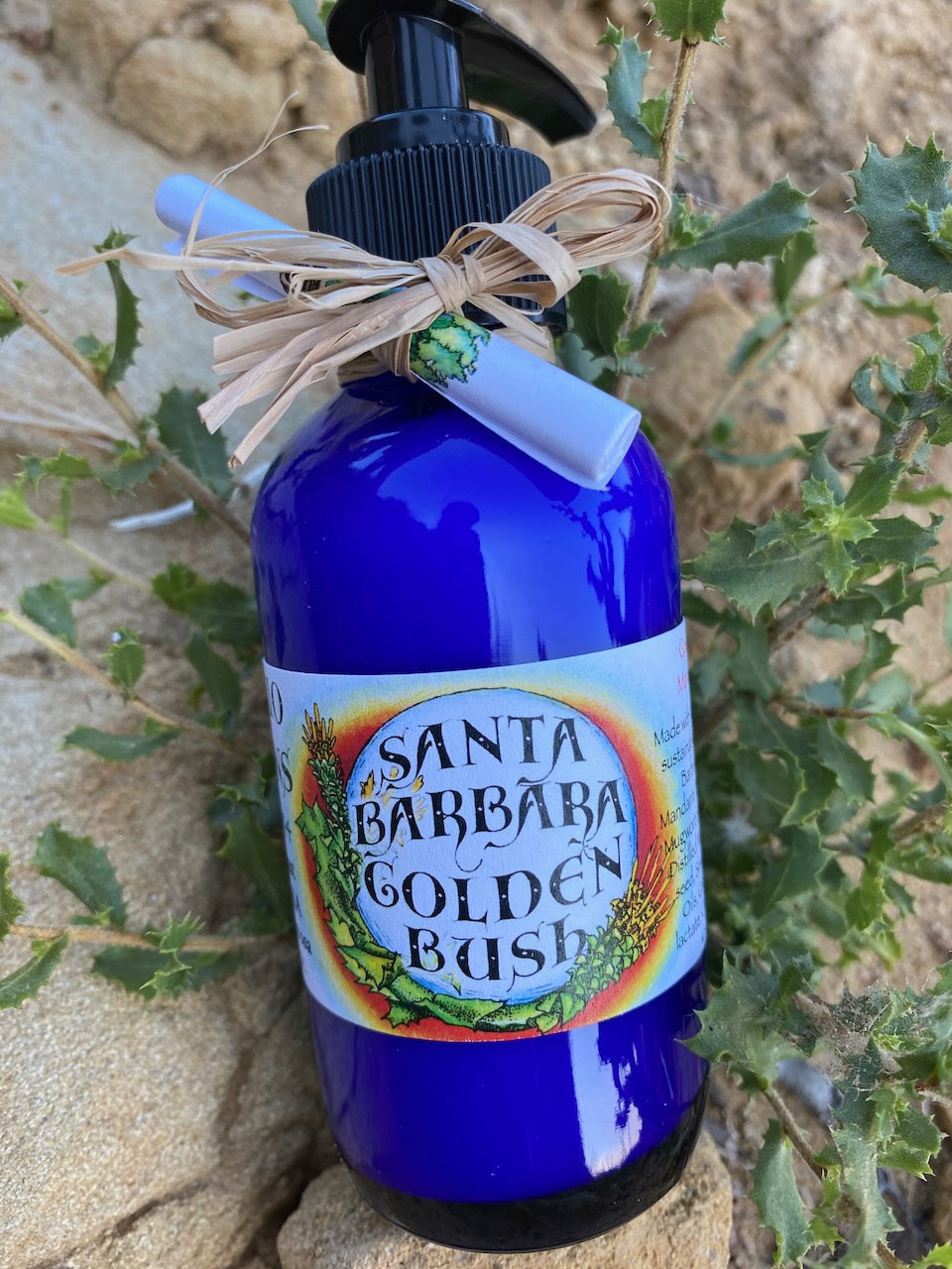 Photograph of 4 oz cobalt blue bottle of Santa Barbara Golden Bush Lotion on a rock on the beach in santa barbara 