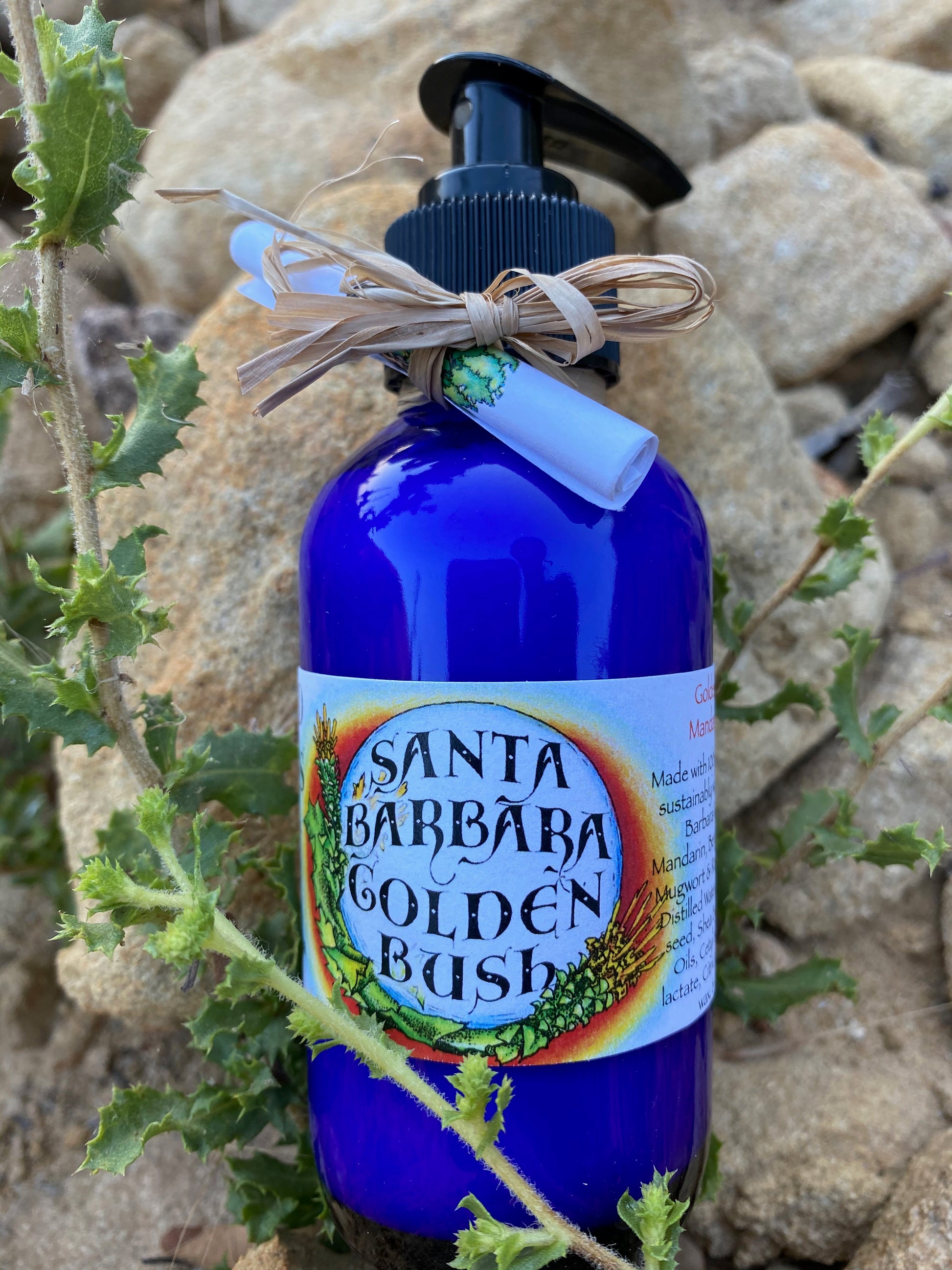 Photograph of 4 oz cobalt blue bottle of Santa Barbara Golden Bush Lotion with a black lotion pump