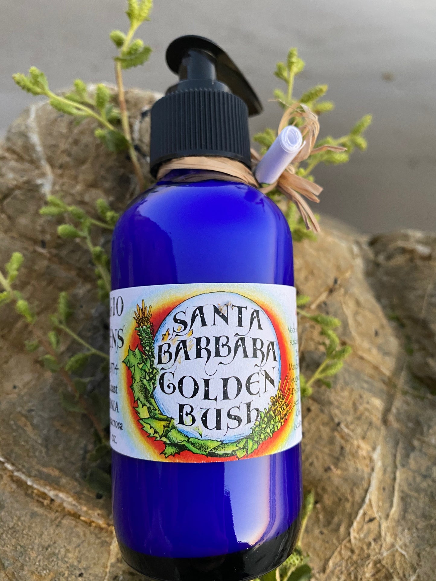 Photograph of a Santa Barbara Goldenbush Lotion in a 4 oz cobalt blue lotion bottle with goldenbush leaves