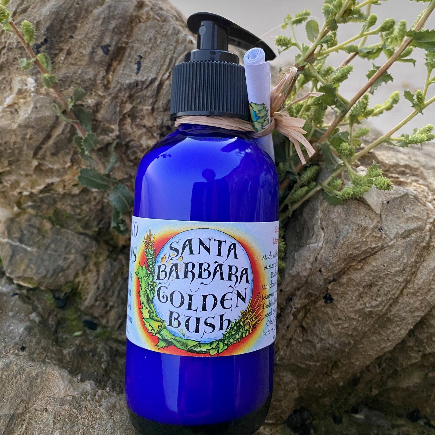 Photograph of 4 oz cobalt blue bottle of Santa Barbara Golden Bush Lotion with a black lotion pump