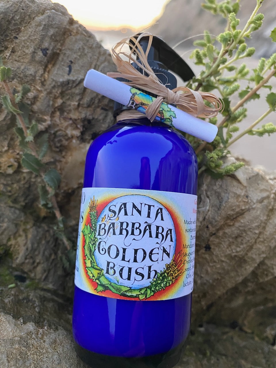 Photograph of 4 oz cobalt blue bottle of Santa Barbara Golden Bush Lotion on a rock on the beach in santa barbara 