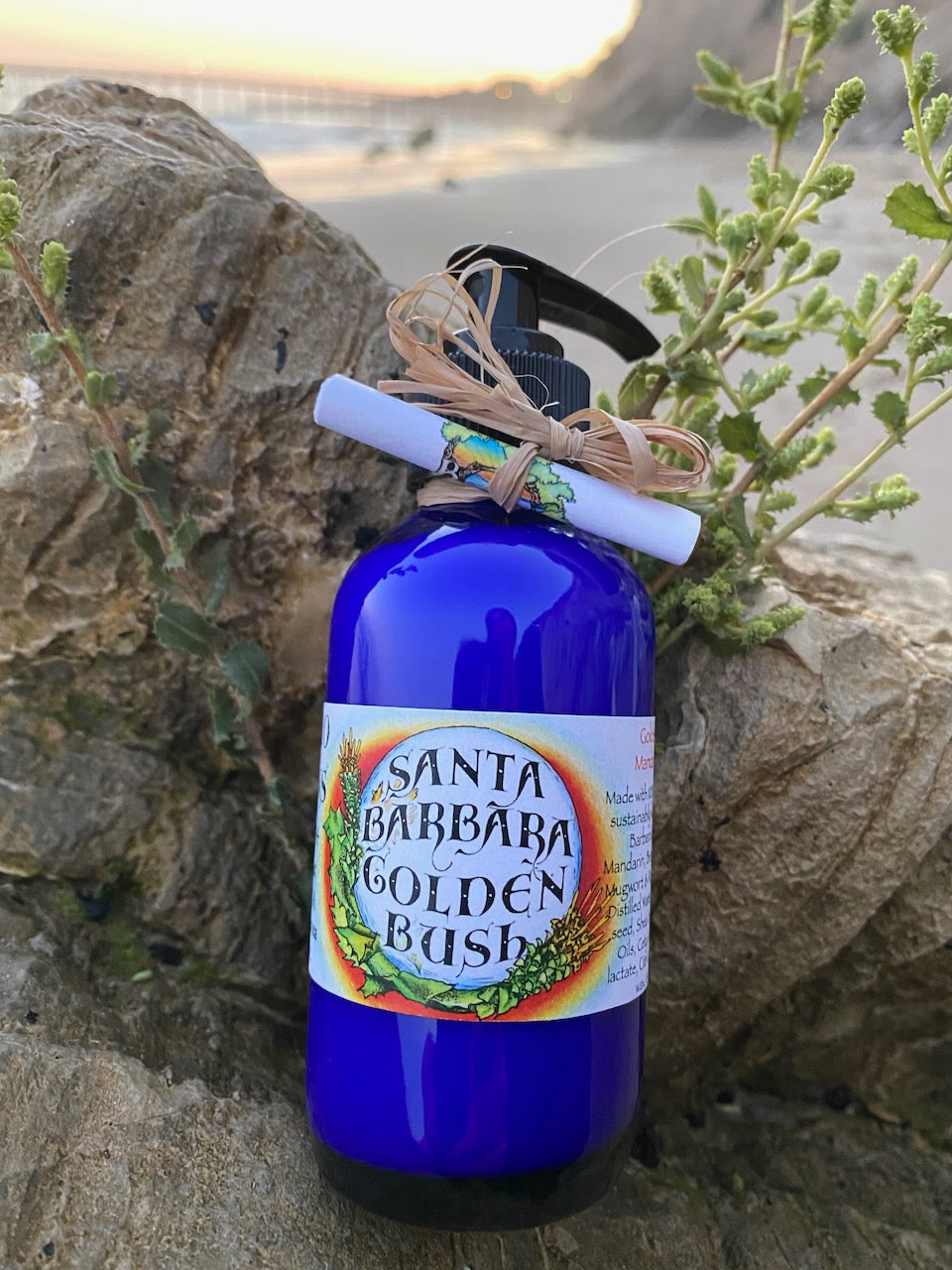 Photograph of 4 oz cobalt blue bottle of Santa Barbara Golden Bush Lotion on a rock on the beach in santa barbara with a sunset in the distance.