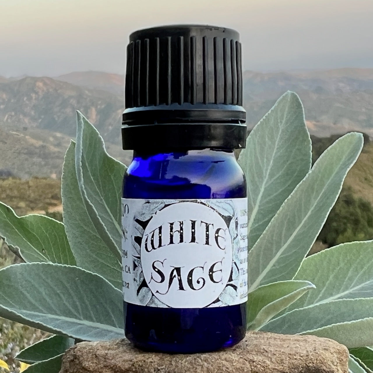 Photograph of cobalt blue essential oil of White Sage