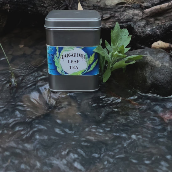 movie or a tea tin of mugwort in a creek with mugwort leaves