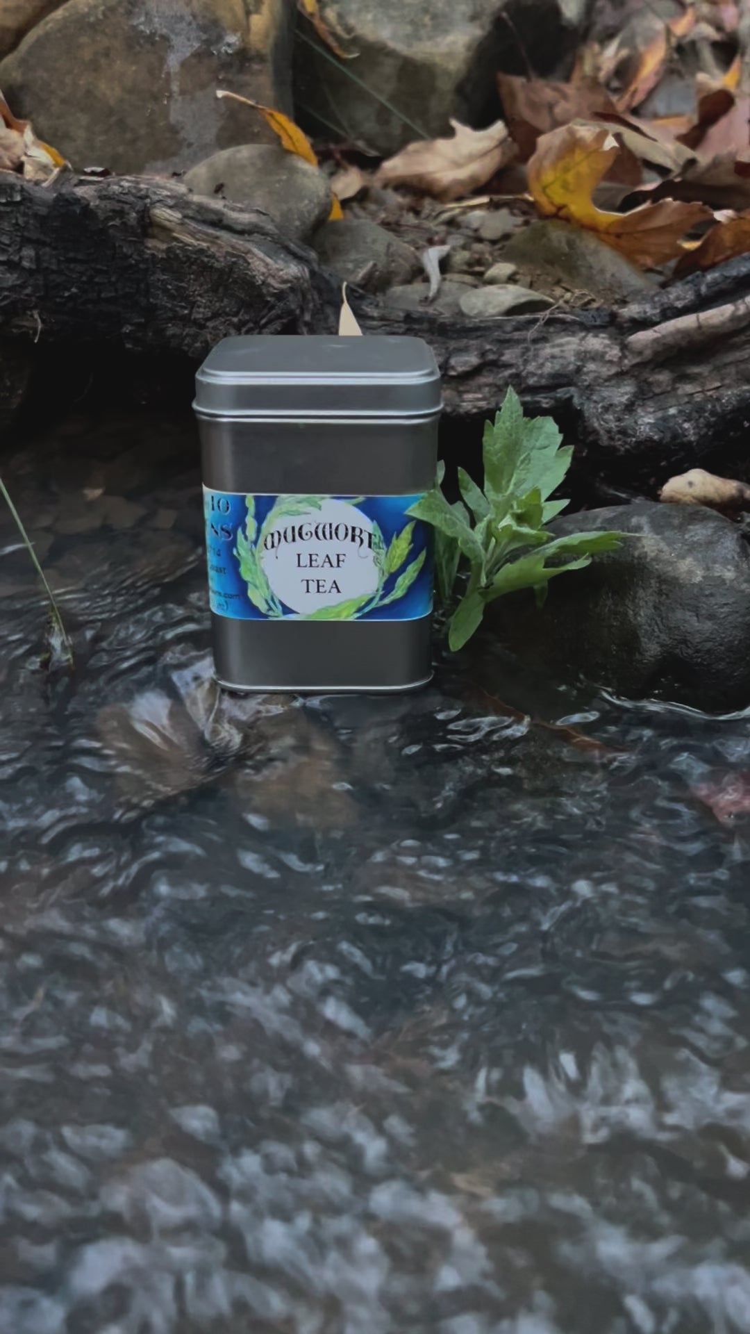 movie or a tea tin of mugwort in a creek with mugwort leaves