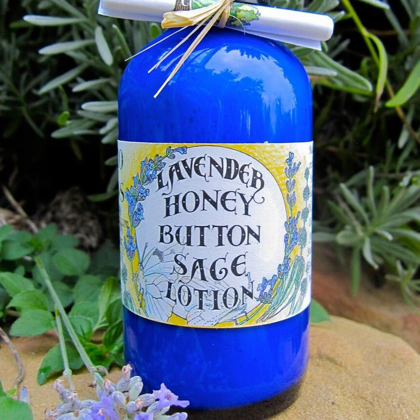 Photo of honey button sage lotion bottle