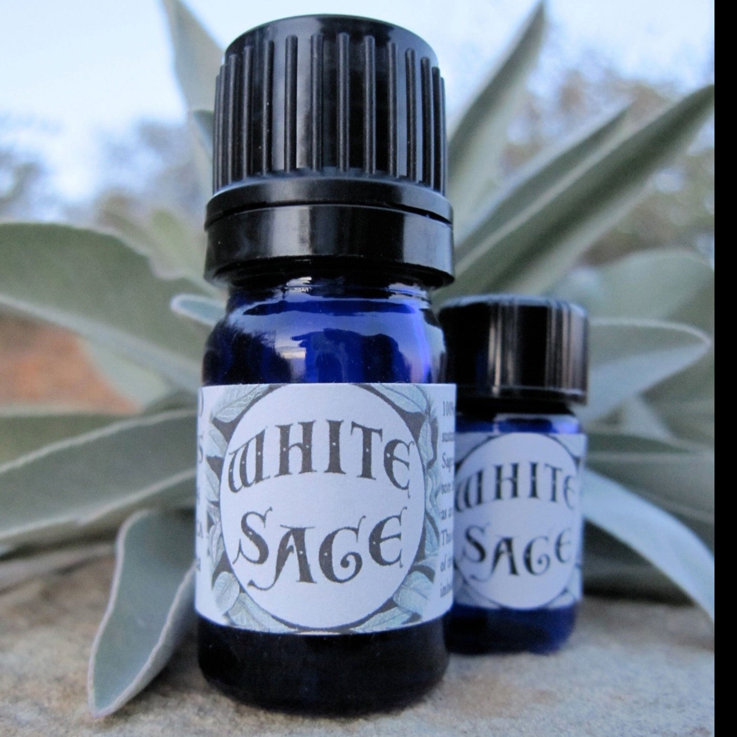 Photograph of cobalt blue essential oil of White Sage